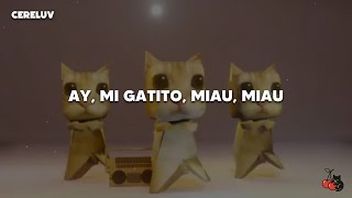 Cover art for ay mi gatito funk