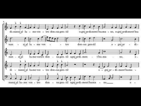 Cipriano de Rore: Poggiando al ciel coll'ali - Blue Heron