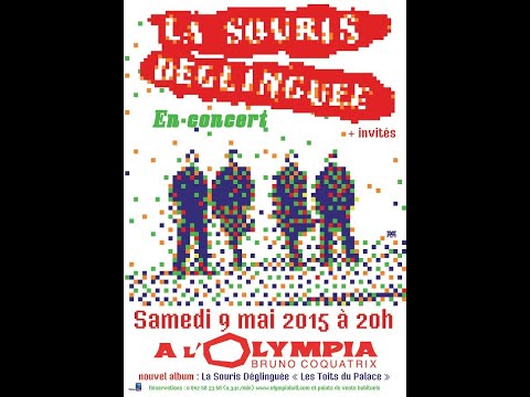 La Souris Déglinguée & Friends à l'Olympia Paris 9 Mai 2015 ARTE Concert