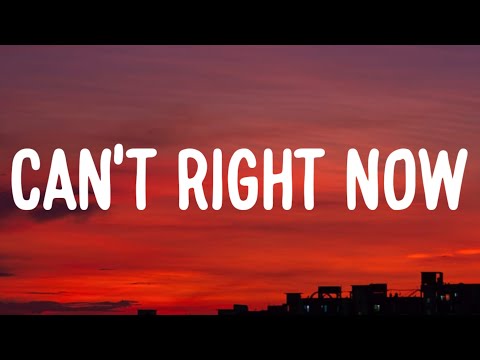 Austin Williams - Can't Right Now (Lyrics)