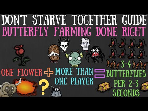 Don't Starve Together Guide: Butterfly Farming - Fast, Easy & (INSANELY) Efficient