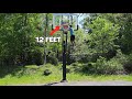 I Dunked 12 Feet
