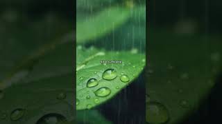 Download lagu Sampai Menutup Mata-Acha Septriasa (lirik1) #shorts #liriklagu mp3