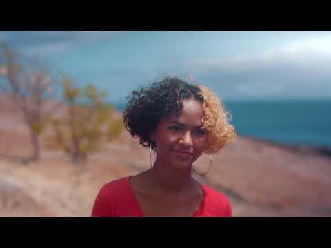 PLL Feat DJ Sebb - La plus jolie