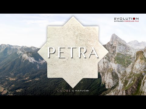 Imagen representativa video