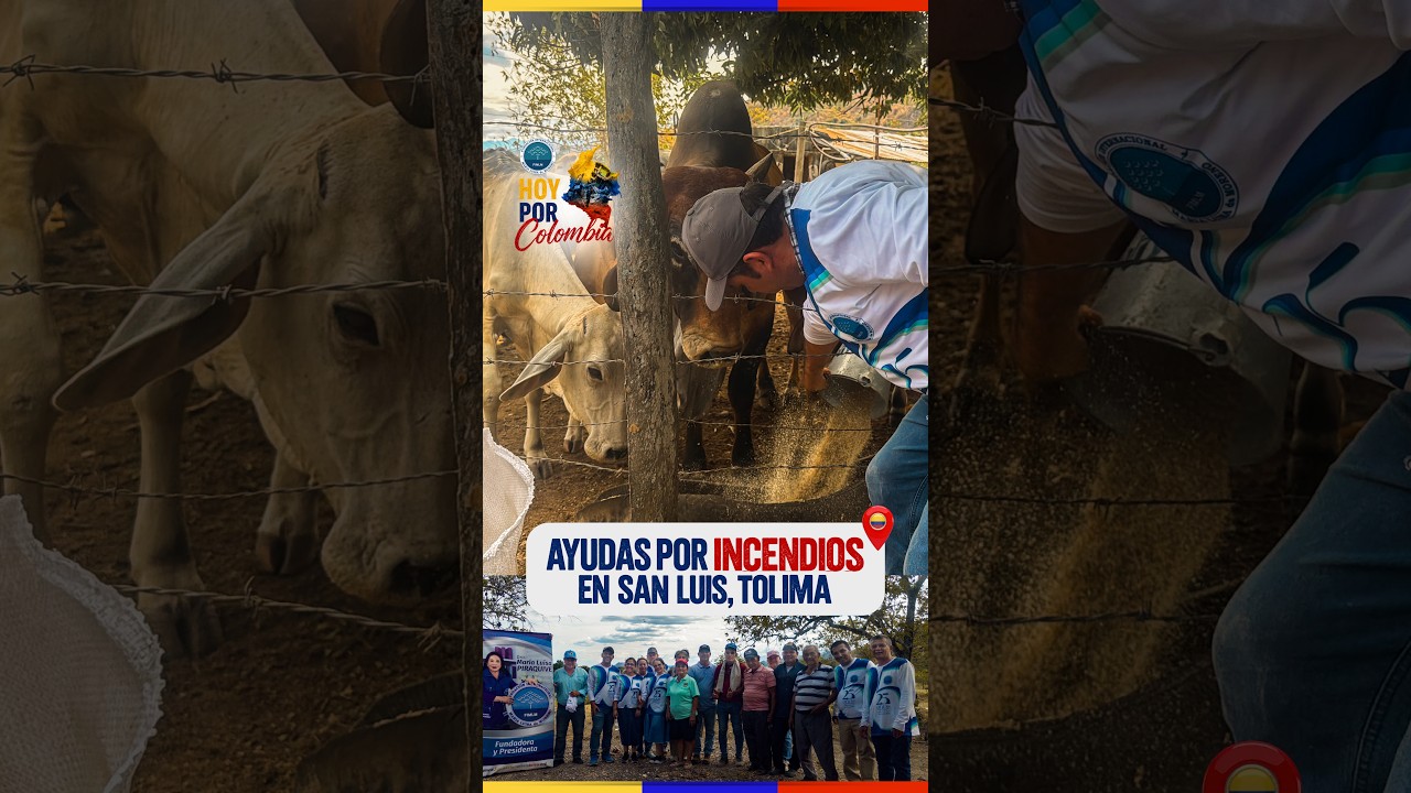 Seguimos llevando ayudas a afectados de los incendios en San Luis, Tolima