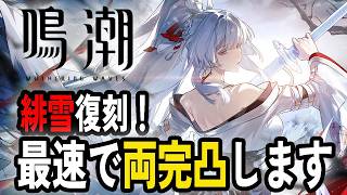 緋雪復刻！最速で両完凸する【鳴潮/WuthringWaves】
