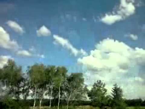 The Bug Featuring Ricky Ranking - Flying