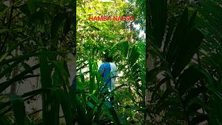Download lagu Hamba nafsu ll Rhoma irama OG alfata 25-07-2026 mp3
