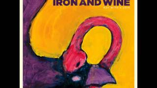 Iron and Wine - Boy With A Coin