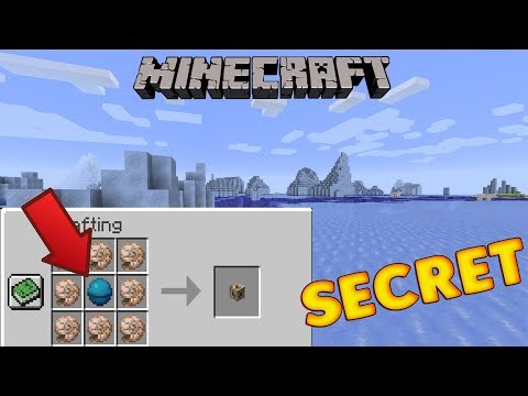 L'ITEM SEGRETO SU MINECRAFT 1.13