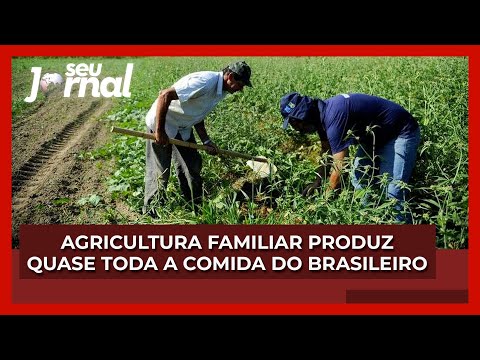 Agricultura familiar produz quase toda a comida que chega à mesa do brasileiro