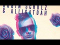 Robin Schulz & Alligatoah - Willst Du (Bassgainer ...