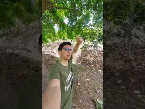 Comunidades Campesinas - Cantón Buena Fe, Los Ríos, Ecuador.