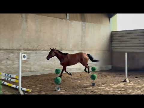 free jumping