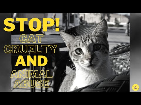 Animal Abuse Picture With Deep Meaning | Animal Abuse By Humans | Cat Cruelty | I'm Earth