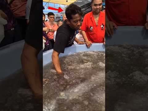 He Grabbed a Whole Bunch of Fish in One Move 😳🐟 #shots #facts