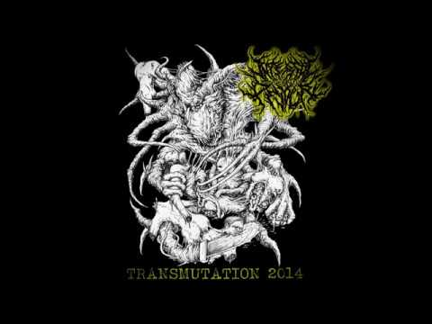 Internal Devour - Transmutation (2014) [Full Promo]