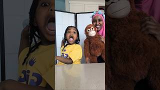 🫣 Peek-a-boo 🙈