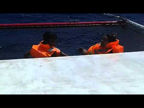 Grosse vague en catamaran