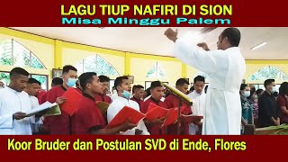 Download lagu LAGU TIUP NAFIRI DI SION👉Suara Keren Bruder dan Postulan SVD di Ende, Flores mp3 Download lagu LAGU TIUP NAFIRI DI SION👉Suara Keren Bruder dan Postulan SVD di Ende, Flores mp3