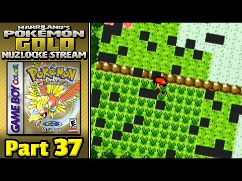 Pokémon Gold Nuzlocke, Part 37: Elite Four Training #1! (Training Episode)