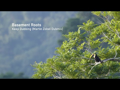 Basement Roots - Keep Dubbing (Martin Zobel Dubmix)