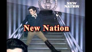 Roderick Falconer - New Nation