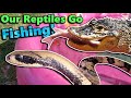 Reptile Pool Party