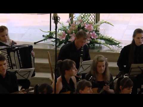 В. Семенов. Калина красная / V. Semyonov. «The Guelder-rose red»