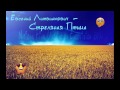 Евгений Литвинкович Стреляная птица HD National final on Eurovision 2014 ...