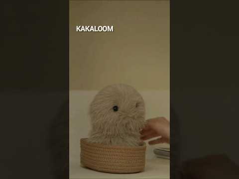Kakaloom Review Video 2