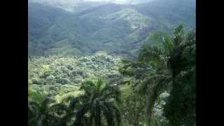 preview picture of video 'Finca Dominican Republic'