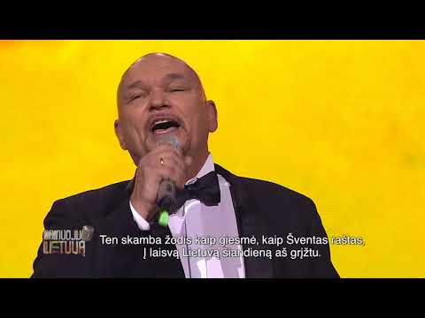 Arvydas Vilčinskas ir Tadas Vilčinskas - „Į Lietuvą" (Dainuoju Lietuvą)