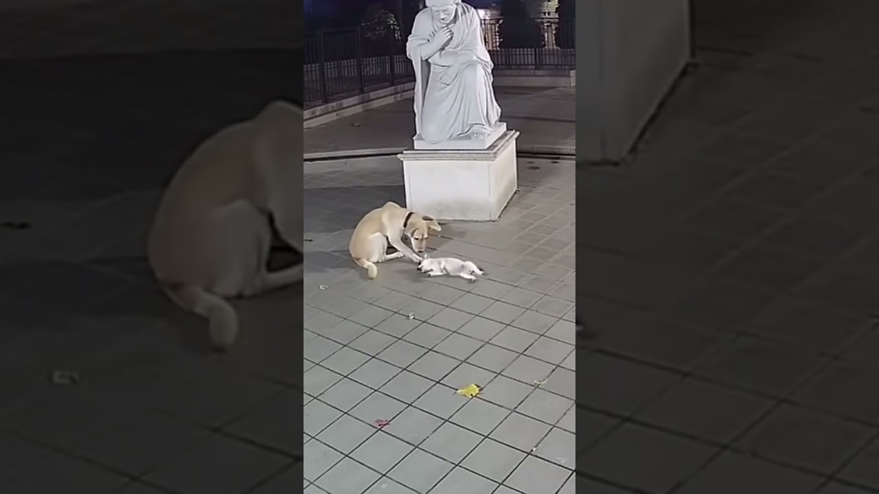 nada es imposible para Dios