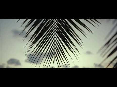 Mike Perry - Better Than This (feat. David Rasmuss)