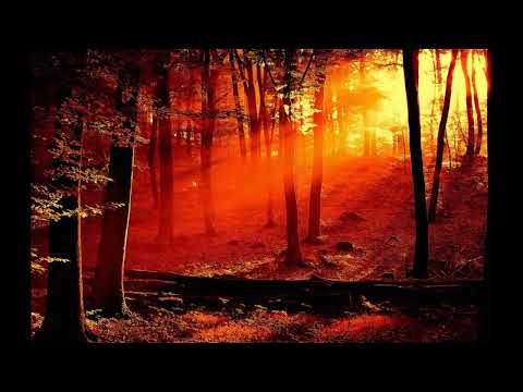 Hino 266 CCB cantado