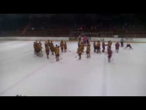 Topoľčianski fanúšikovia sa tešia z výhry na domácom ľade