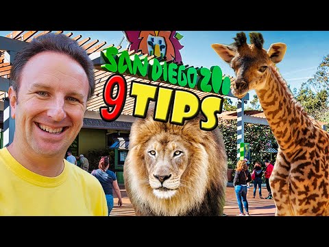 SAN DIEGO ZOO Tips: 9 Things to Know Before You Go