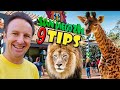 SAN DIEGO ZOO Tips 9 Things To Know Before You Go