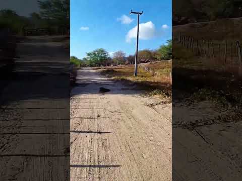 Ipueirinha – um dos cenários mais belos do sertão irauçubense.