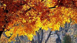 If You Leave My World - Michael Learns to Rock