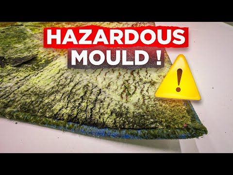 From Gross to Gorgeous: The Incredible Restoration of a Mould Infested Rug | Satisfying ASMR