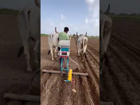 ox vidio  #viralvideo #shorts #farminga