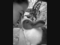 Blue Licking My Nose