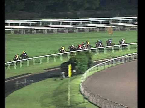 Singapore Airlines International Cup 2010 (Horsemen Guide 2011)