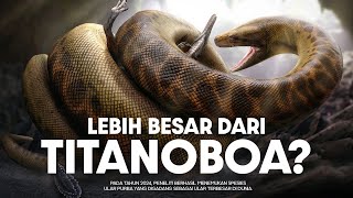 Download lagu This Ancient Snake Was Bigger Than Titanoboa? | #LearnAncientWorld mp3 Download lagu This Ancient Snake Was Bigger Than Titanoboa? | #LearnAncientWorld mp3