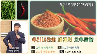 ✨[고추 이야기 ] 우리나라와 세계의 고추 동향/ 2024 고추 생산부터 수출입을 거쳐 소비까지~