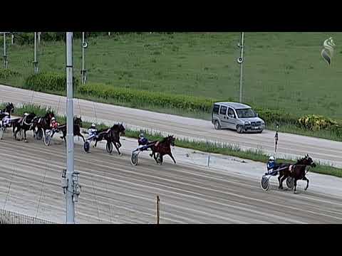 Aversa trotto 19 Maggio 2021 - 2° Corsa