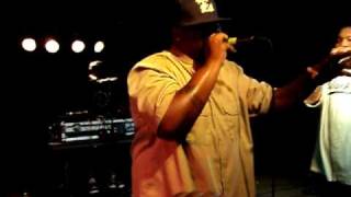 Little Brother - Tigalo for Dolo